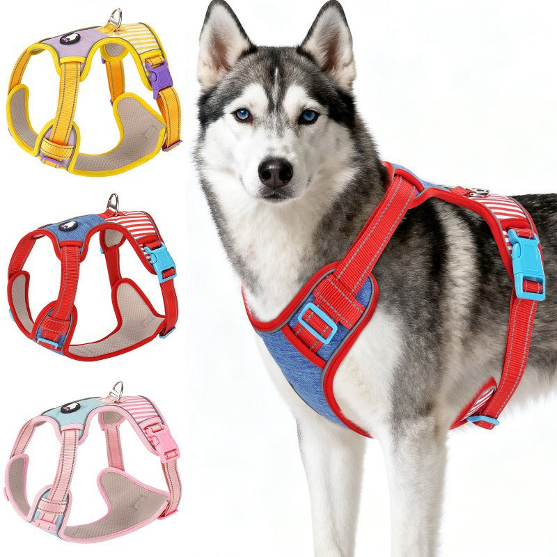 Adjustable Striped Dog Harness with Leash