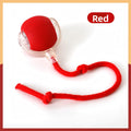 Interactive Silicone Pet Toy Ball with Rope