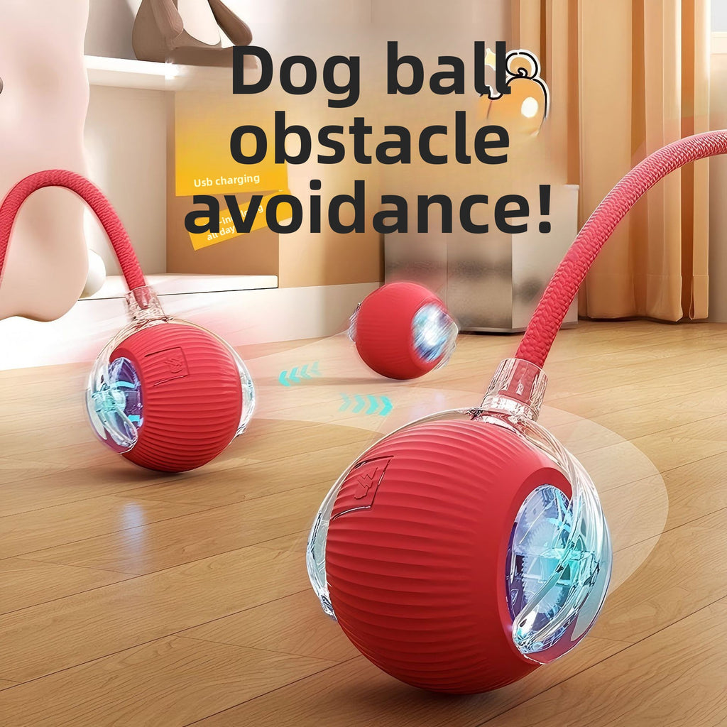 Interactive Silicone Pet Toy Ball with Rope