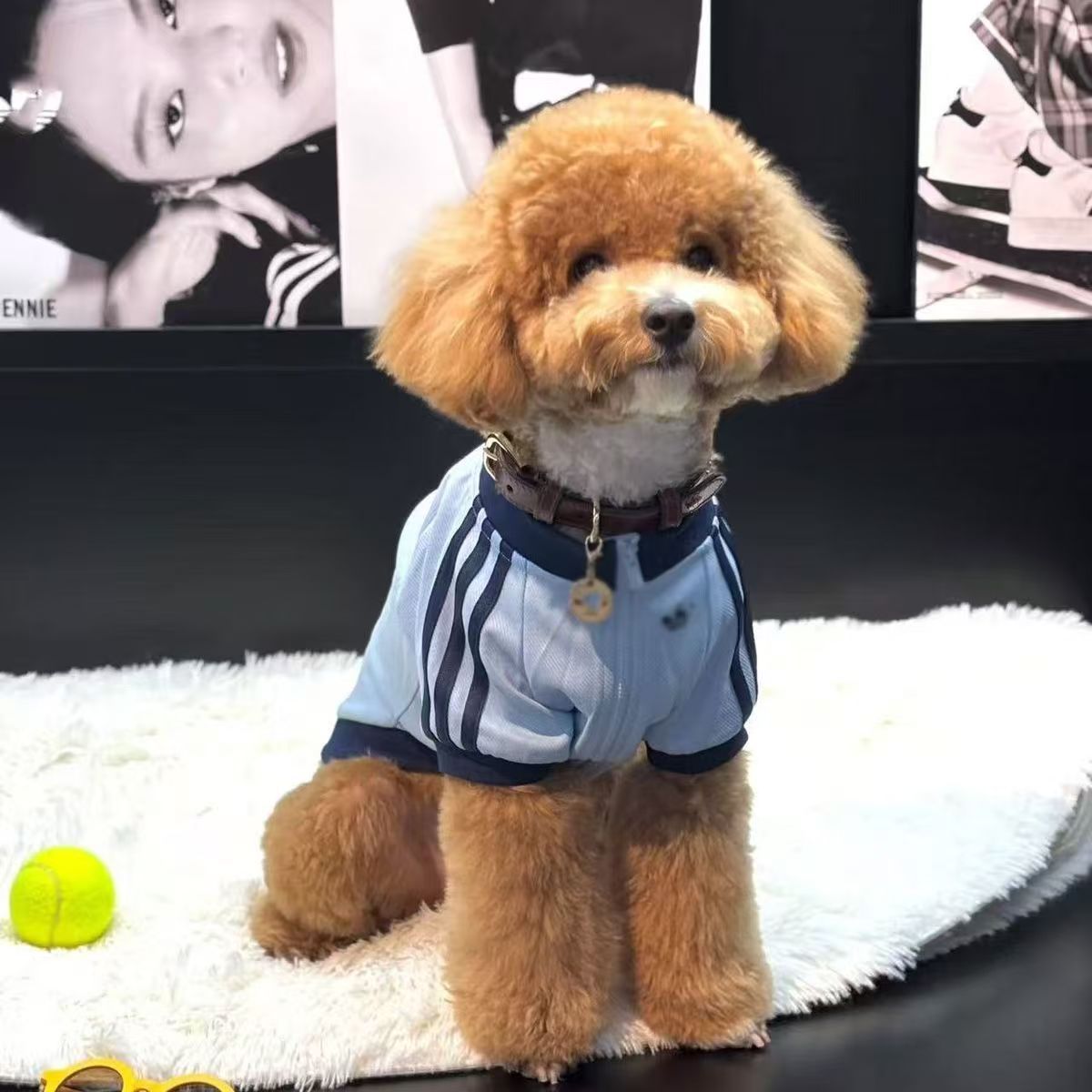 Pet fleece jacket