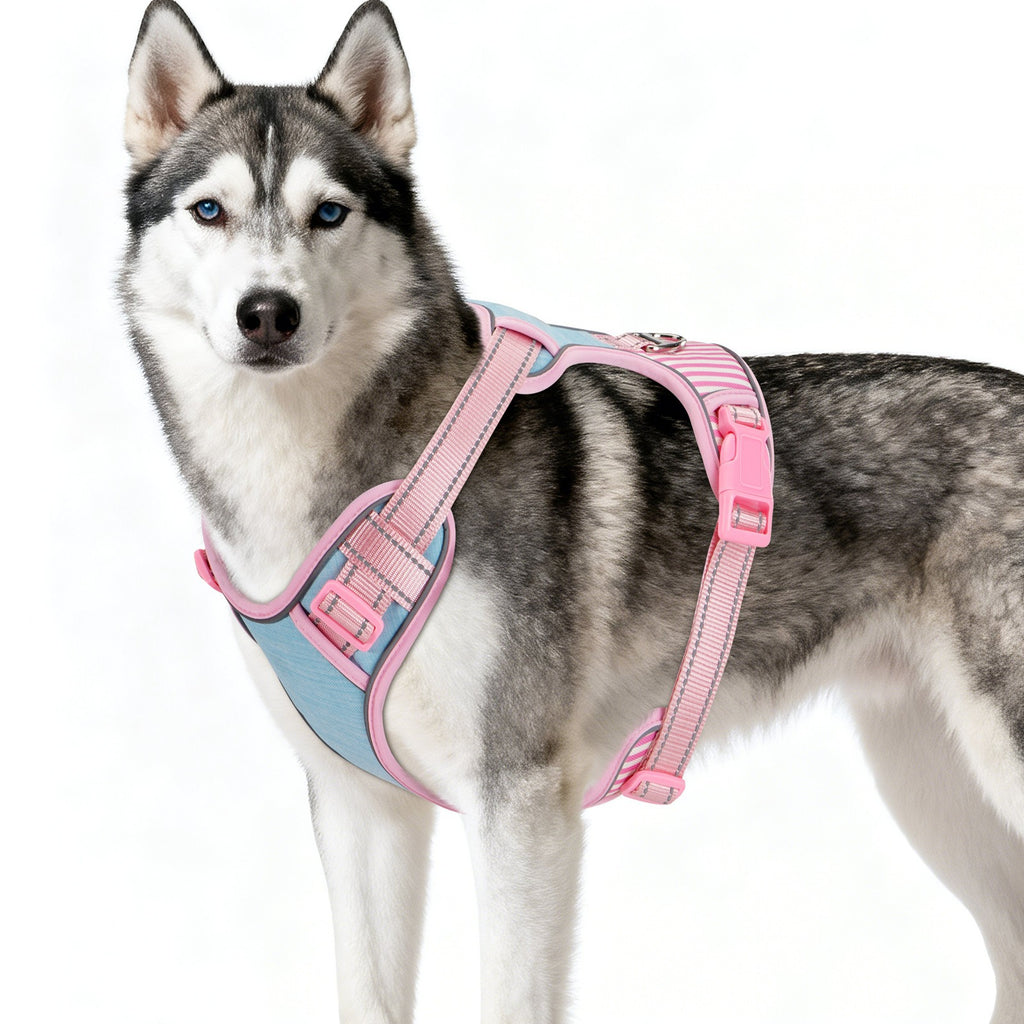 Adjustable Striped Dog Harness with Leash