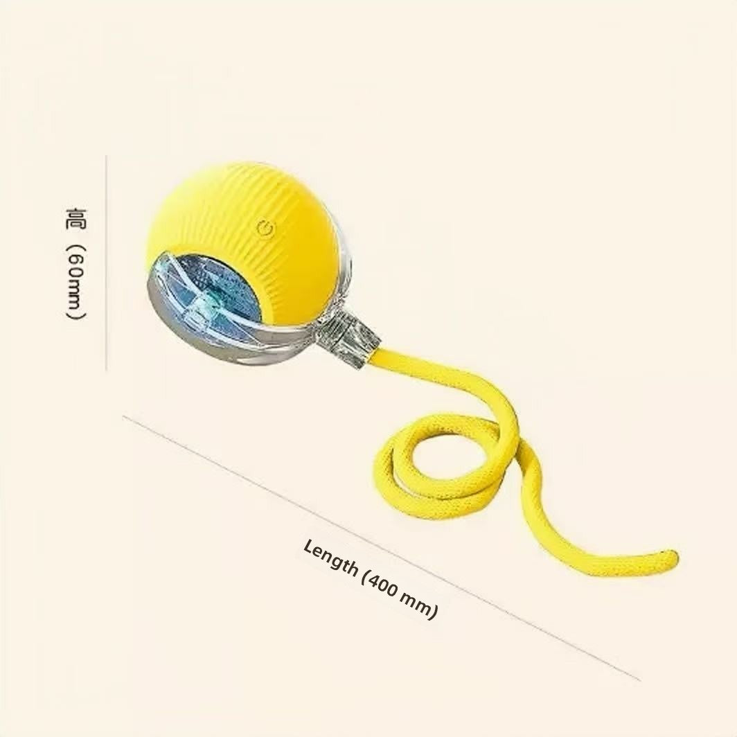 Interactive Silicone Pet Toy Ball with Rope